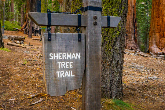 Sherman Tree trailhead sign at Sequoia Park