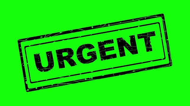 animated black fill stamp with urgent text featuring line boil wiggle effect on green chroma key screen background. Perfect for corporate alerts and video editing overlays