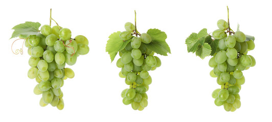 Obraz premium Fresh grapes. Three clusters isolated on white, set