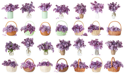 Fototapeta premium Beautiful lilac flowers in vases and wicker baskets isolated on white, set