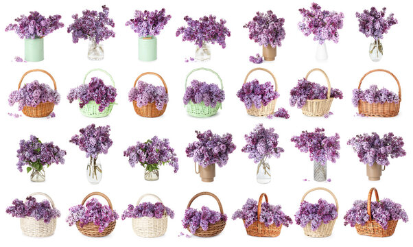 Beautiful lilac flowers in vases and wicker baskets isolated on white, set