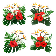 Hibiscus, strelitzia and plumeria flowers with green tropical leaves in floral compositions on white background, set © New Africa
