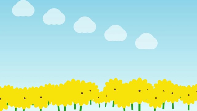 Bright yellow flowers blooming in a sunny field under a clear blue sky with fluffy white clouds