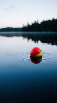 A fishing float bobbing gently on the calm surface of a serene lake at dawn, creating ripples. The tranquil water reflects the dusky sky and the silhouette of trees along the distant shore