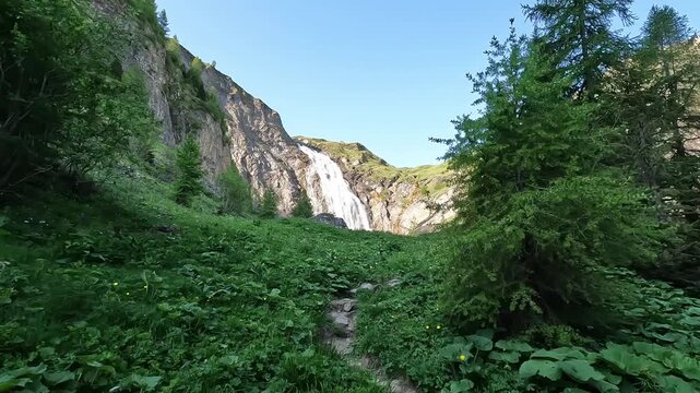 Lush Alpine Meadow with Green Vegetation and Engstligen Waterfall in Background at Adelboden Switzerland