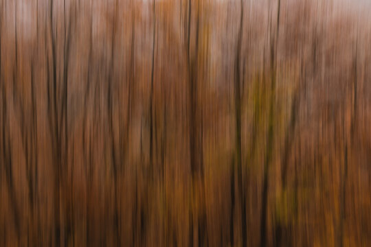 View of abstract motion blur of autumn forest trees with warm brown and orange tones in Ceppo, Abruzzo, Italy.