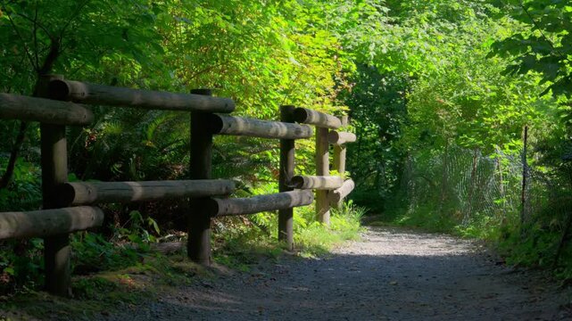 Rustic wooden split rail fence along gravel hiking trail in green park forest