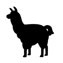Black Llama Alpaca Silhouette Icon Transparent Background  © TX Studio