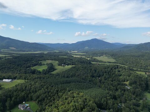George washington national forest