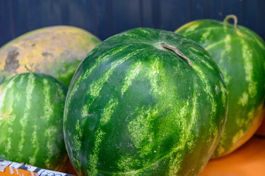 Freshly picked watermelons sit under the warm sun at a vibrant farmers market ready for eager customers to enjoy