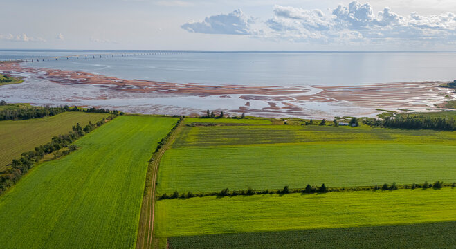 Farmland, Prince Edward Island, Canada. 