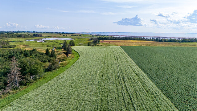 Farmland, Prince Edward Island, Canada. 