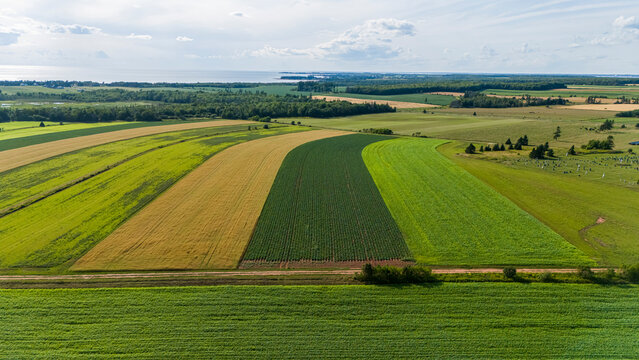 Farmland, Prince Edward Island, Canada. 