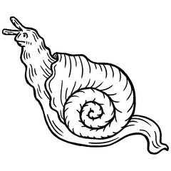 Medieval snail creature vintage engraving style illustration © Kei.as.is