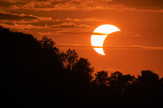 Partial solar eclipse visible at sunset as a bright solar crescent descending behind silhouetted treetops near Vodice, Slovenia