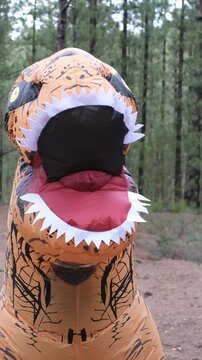 Comical person wearing a large inflatable tyrannosaurus rex costume with a big open mouth and sharp white teeth dancing and having fun in a pine forest, creating a humorous and silly scene