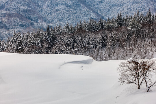 棚田に雪が積もる