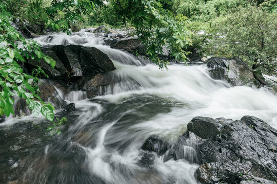 A flowing stream cascades over wet dark rocks, surrounded by lush green forest vegetation in a natural outdoor setting.