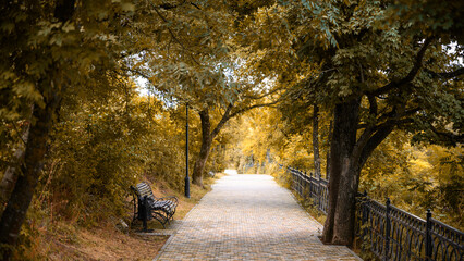 Obraz premium Paved walkway through an autumn park with yellow trees, Pyatigorsk, Russia. Empty stone path lined with fall foliage and a bench. Seasonal nature landscape in a public garden