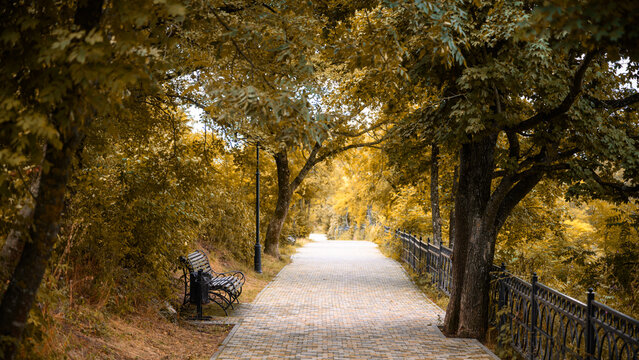Paved walkway through an autumn park with yellow trees, Pyatigorsk, Russia. Empty stone path lined with fall foliage and a bench. Seasonal nature landscape in a public garden