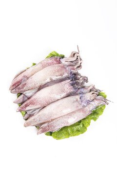 Fresh Raw Squid Seafood on Lettuce Leaves Isolated White Background Whole Aquatic Cephalopods Cooking Ingredient