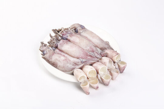 Fresh Whole Squid on White Plate - Raw Seafood for Cooking