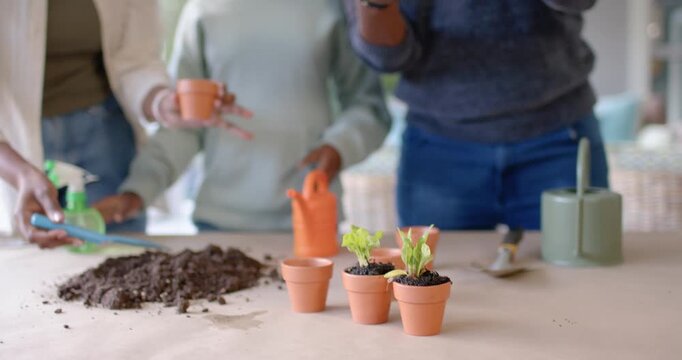 African American family planting seedlings on patio after father presenting tray, teaching daughter
