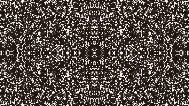 Abstract black and white symmetrical pattern with intricate details