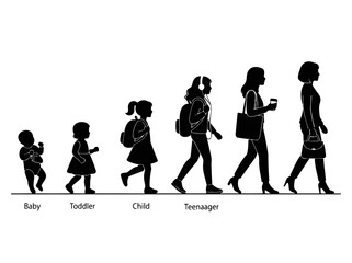 Obraz premium Human growth stages silhouette showing female development from baby to adult woman