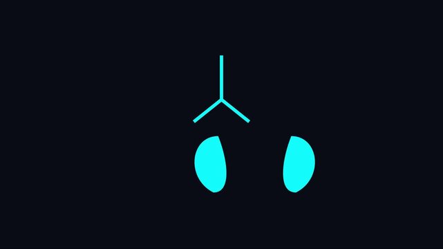 Human lungs breathing animation: minimalist medical concept for respiratory health and pulmonary science education 4k