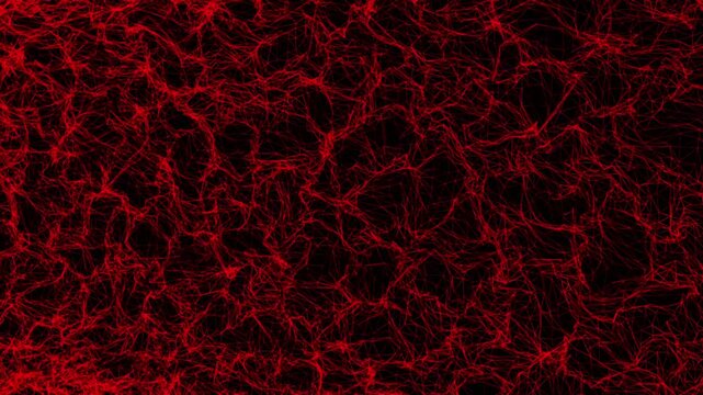 Abstract Red Network Lines Animation on Black Background