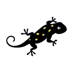 Fototapeta premium Cute Fire Salamander. Cool Amphibian. Hand drawn ilustration. Reptile in Black Yellow isolated on Transparent Background