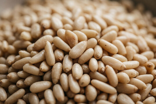 Tightly packed mound of raw shelled white pine nuts