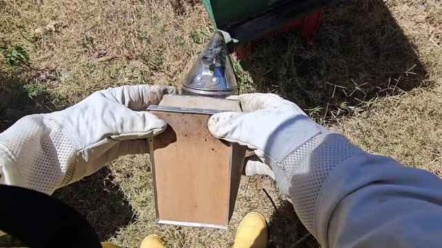 Vertical POV video showing a beekeeper applying smoke to the entrance of a beehive before opening the hive. The first person perspective captures an authentic beekeeping technique used to calm bees du