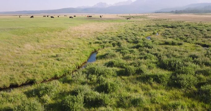 Vast green meadow stretches toward mountains