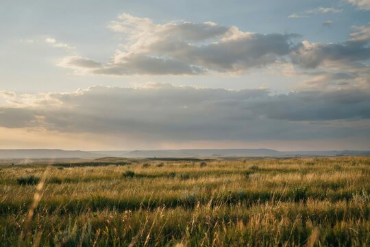 A vast golden grassy prairie landscape under a dramatic cloudy sky during the soft light of sunset with distant rolling hills on the horizon