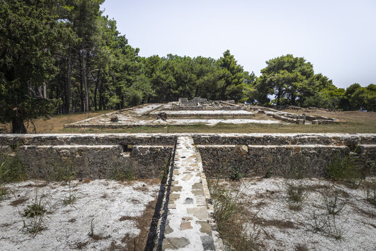 View of the ancient archaeological ruins of Zakynthos, featuring stone foundations and walls set against a backdrop of dense pine trees under a clear sky in Zakynthos, Greece.