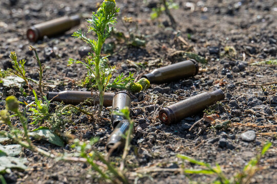 Empty spent bullet casing shell on dry ground dirt closeup macro texture background.
