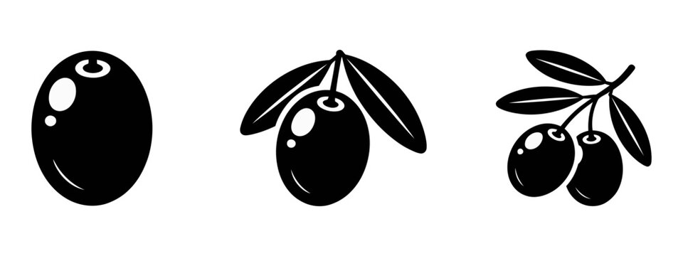 Olive fruit icon featuring fresh organic black olives with natural leaves and branch in a clean simple silhouette vector illustration