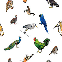Obraz premium birds seamless pattern transparent ideal for textile