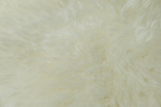 beige sheepskin texture with soft hairs, natural fur for the designer, the concept of processing, production of furrier products, stress relief, psychological stress