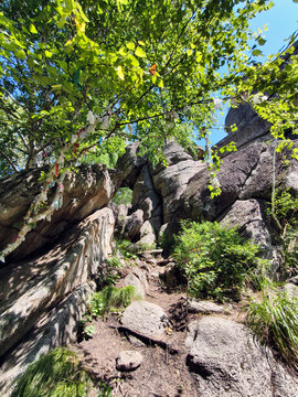 Photo of rocks in the forest on a mount Tserkovka near the Altai resort of Belokurikha.