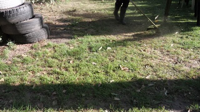 Agricultural worker using a brush cutter to cut grass in a rural field. The scene represents landscape maintenance, agricultural labor, vegetation management, and traditional outdoor work in a country