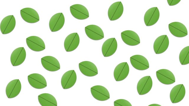 green leaves background