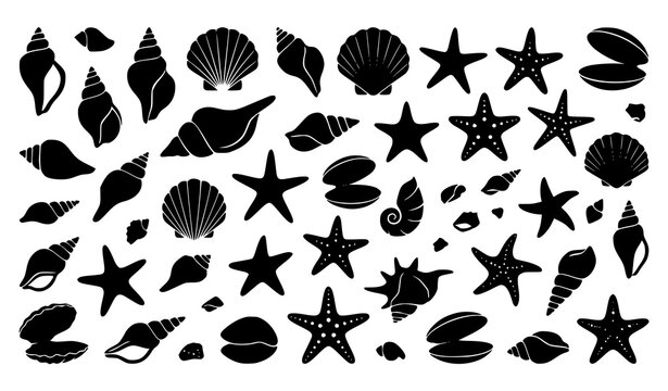 Ocean silhouette vector set featuring seashells conch scallop starfish clams and pebbles in various sizes for beach designs