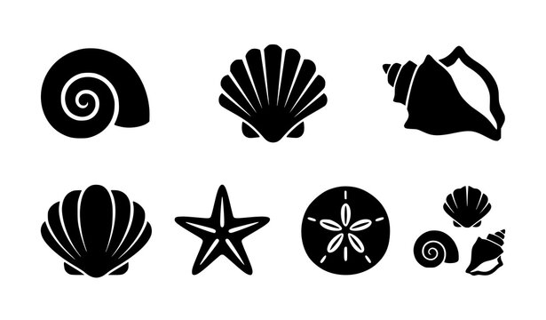 Marine silhouette icon collection featuring spiral shell scallop conch clam starfish sand dollar and mixed seashell cluster designs