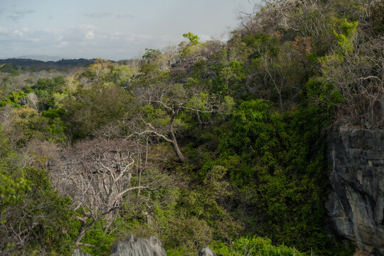 View of the dense forest and limestone karst formations within the Reserve speciale d'Ankarana, featuring lush green trees and rugged rock faces in Diana, Madagascar.