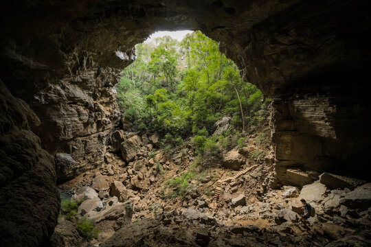 View of the lush green forest inside the collapsed cave of Reserve speciale d'Ankarana with rocky terrain and a hiker on the path in Diana, Madagascar.