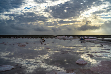 Un trabajador de las Salinas de Pampatar está llevando la sal de la laguna en su carretilla desde la madrugada.  © jesuschurion57