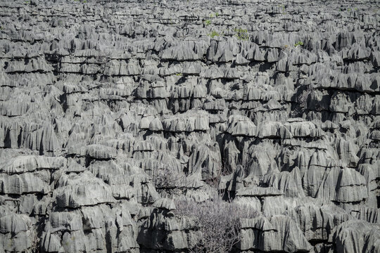 View of the sharp, jagged limestone rock formations of the Tsingy in the Reserve speciale d'Ankarana, Diana, Madagascar.